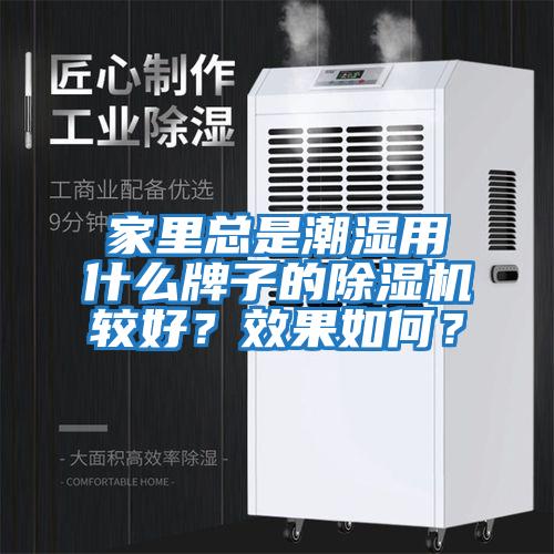 家里總是潮濕用什么牌子的除濕機較好？效果如何？
