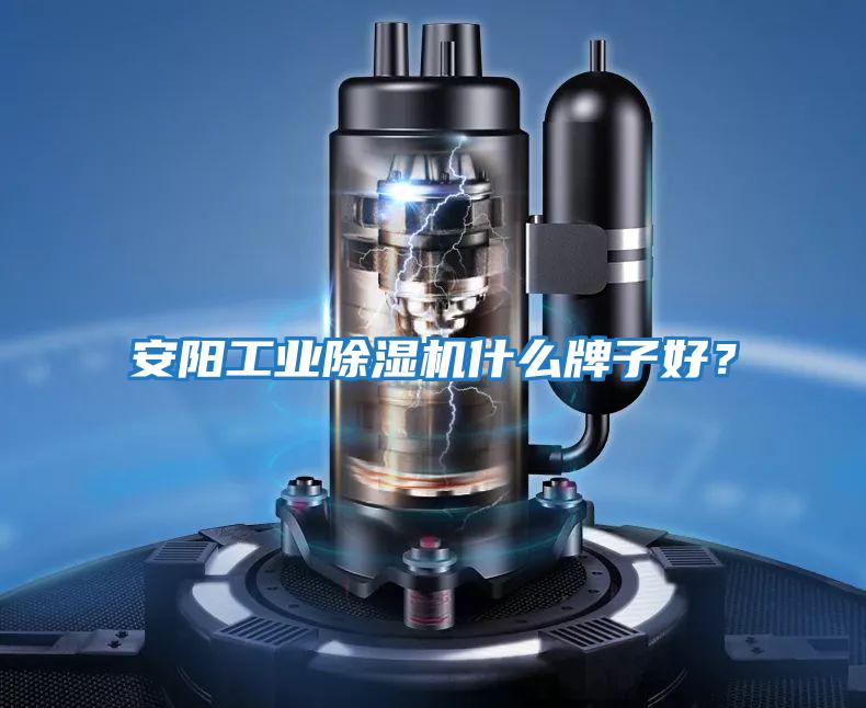 安陽工業除濕機什么牌子好？