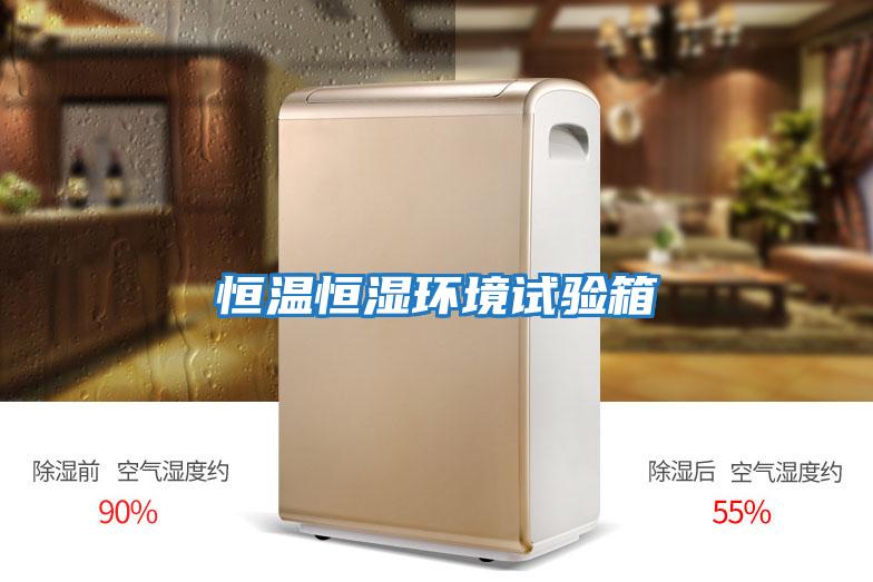 恒溫恒濕環境試驗箱