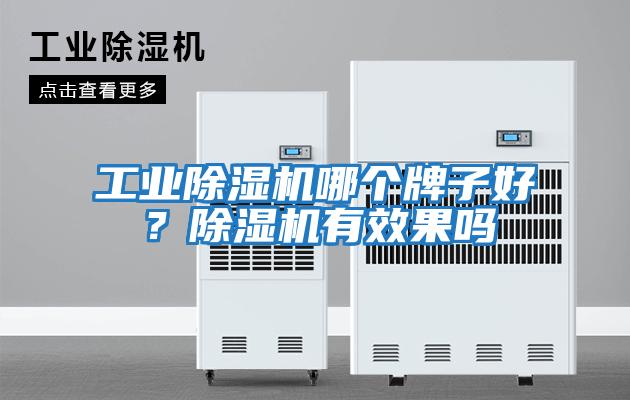 工業除濕機哪個牌子好？除濕機有效果嗎
