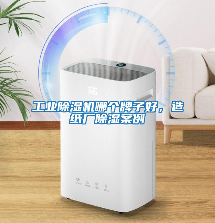 工業除濕機哪個牌子好，造紙廠除濕案例