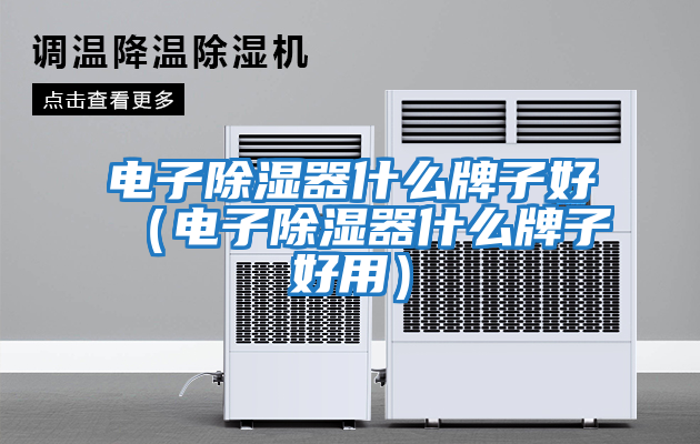 電子除濕器什么牌子好(電子除濕器什么牌子好用)