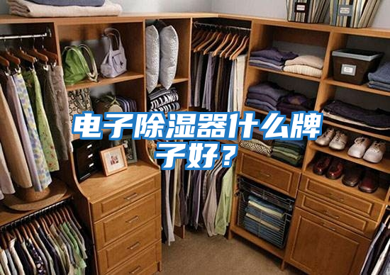 電子除濕器什么牌子好？