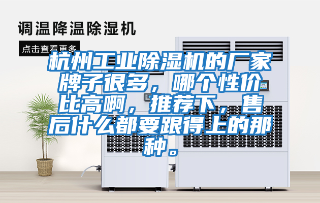 杭州工業除濕機的廠家牌子很多，哪個性價比高啊，推薦下，售后什么都要跟得上的那種。