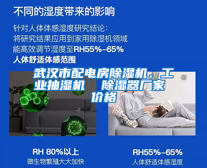 武漢市配電房除濕機，工業抽濕機  除濕器廠家 價格