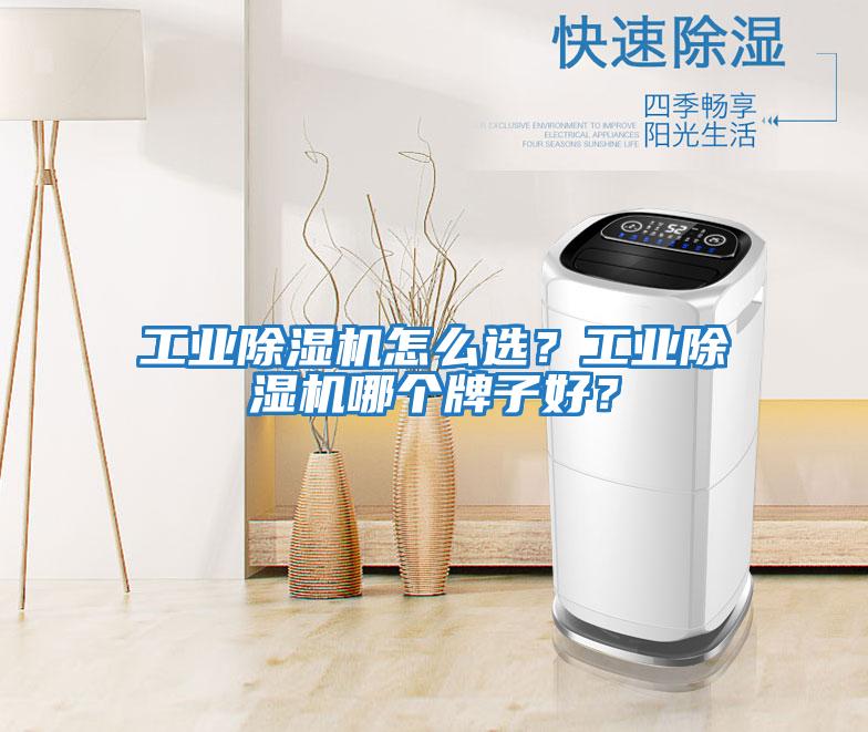 工業(yè)除濕機怎么選？工業(yè)除濕機哪個牌子好？