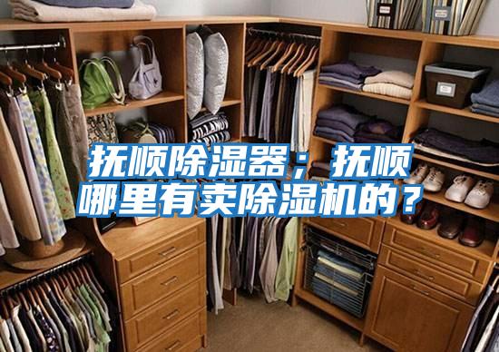撫順除濕器;撫順哪里有賣除濕機(jī)的?
