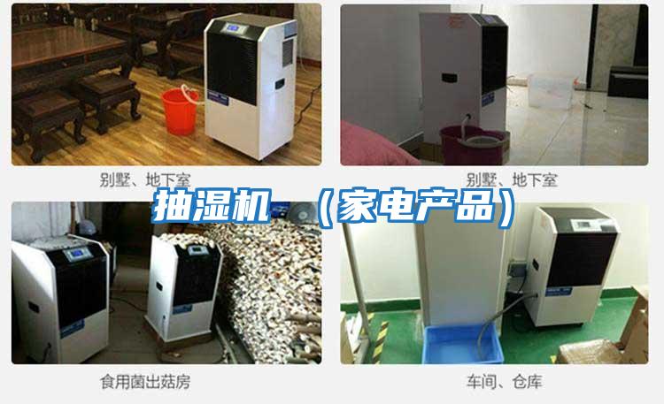 抽濕機 (家電產品)