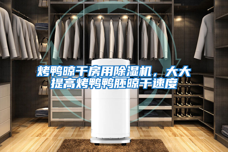 烤鴨晾干房用除濕機，大大提高烤鴨鴨胚晾干速度