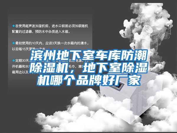 濱州地下室車庫防潮除濕機(jī)，地下室除濕機(jī)哪個(gè)品牌好廠家