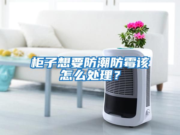 柜子想要防潮防霉該怎么處理？