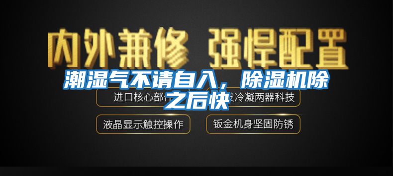 潮濕氣不請自入，除濕機除之后快