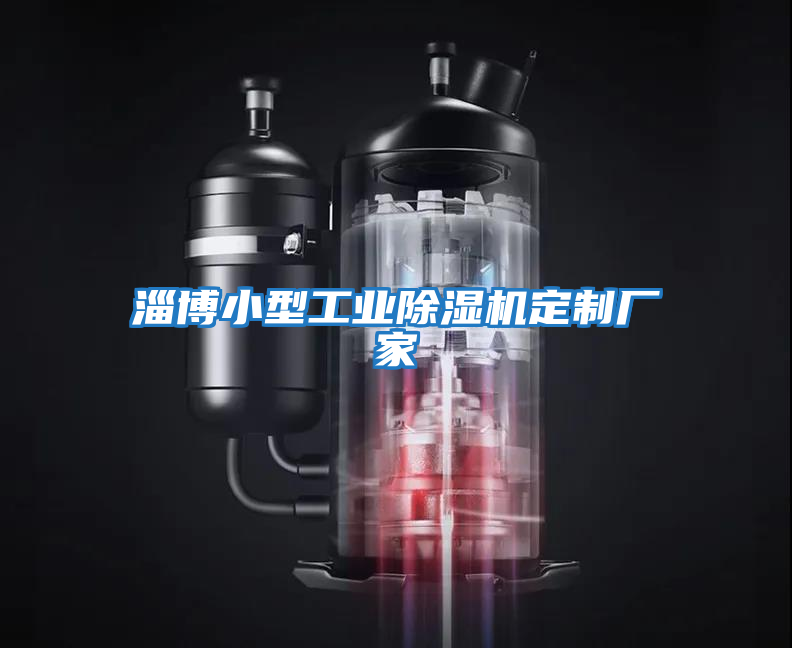 淄博小型工業(yè)除濕機定制廠家
