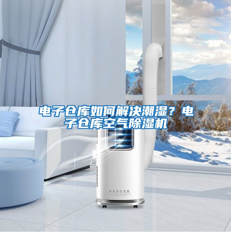 電子倉庫如何解決潮濕?電子倉庫空氣除濕機