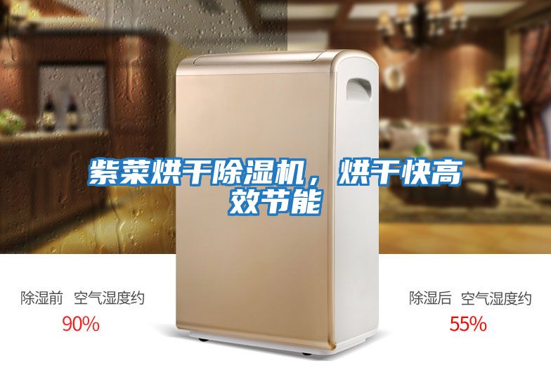 紫菜烘干除濕機，烘干快高效節能