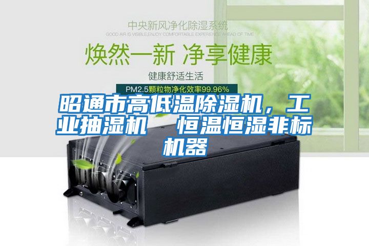 昭通市高低溫除濕機,工業(yè)抽濕機 恒溫恒濕非標機器