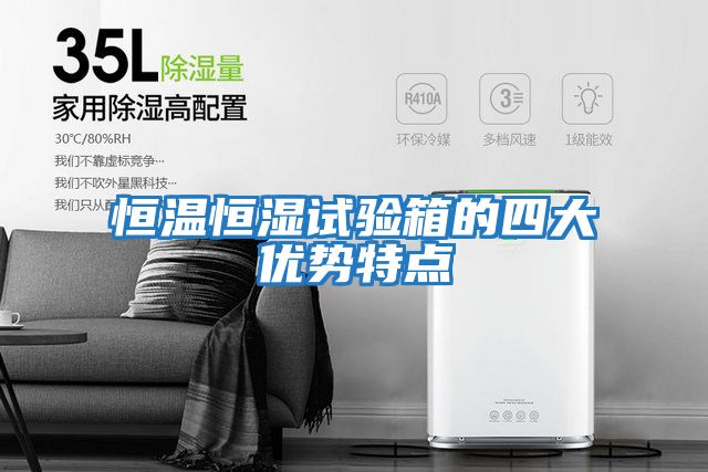 恒溫恒濕試驗(yàn)箱的四大優(yōu)勢特點(diǎn)
