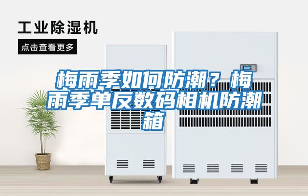 梅雨季如何防潮？梅雨季單反數碼相機防潮箱