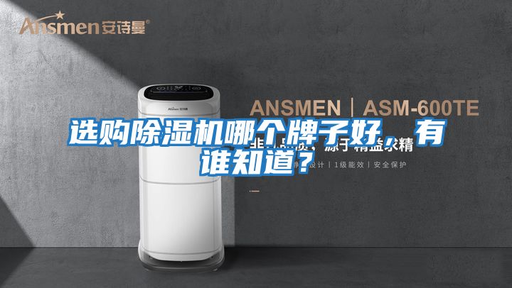 選購除濕機哪個牌子好，有誰知道？