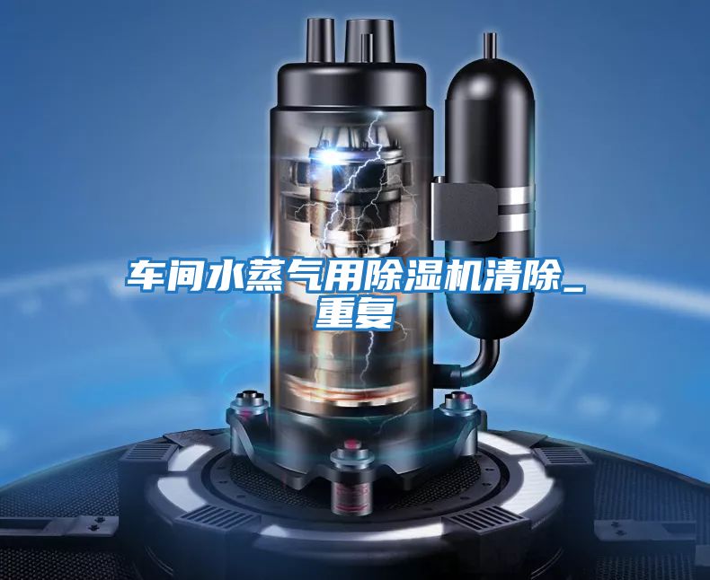 車間水蒸氣用除濕機清除_重復(fù)