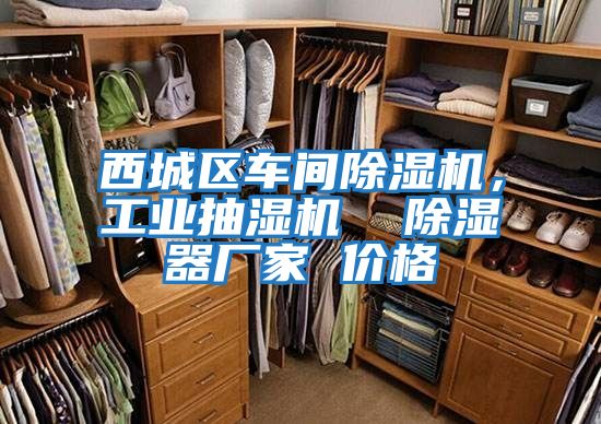 西城區車間除濕機，工業抽濕機  除濕器廠家 價格