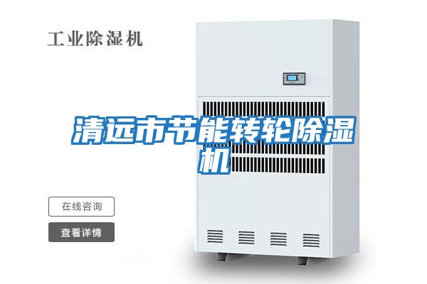 清遠市節能轉輪除濕機