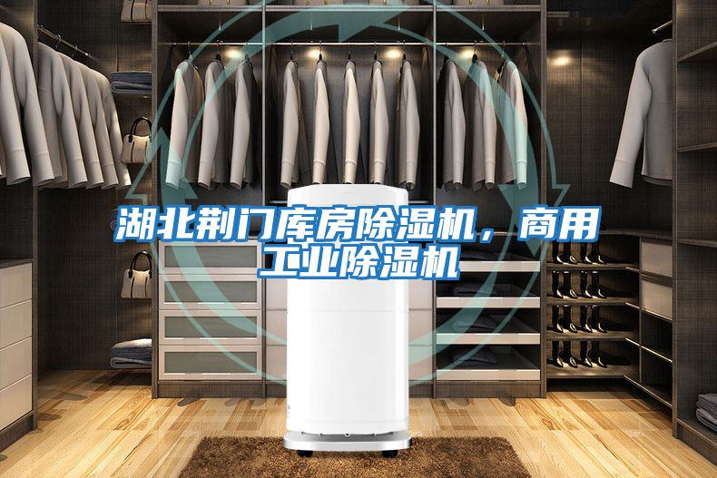 湖北荊門庫房除濕機，商用工業除濕機