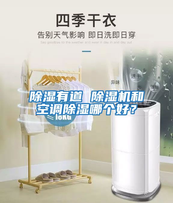 除濕有道 除濕機和空調除濕哪個好？