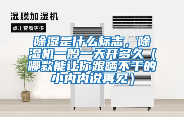 除濕是什么標志，除濕機一般一天開多久（哪款能讓你跟曬不干的小內內說再見）