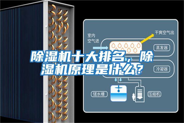 除濕機(jī)十大排名，除濕機(jī)原理是什么？
