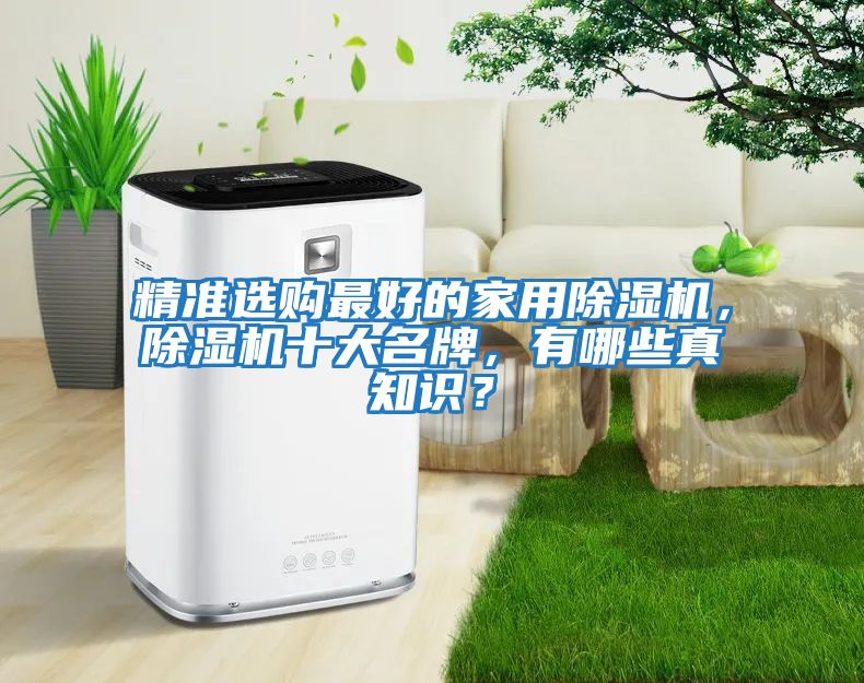 精準選購最好的家用除濕機，除濕機十大名牌，有哪些真知識？