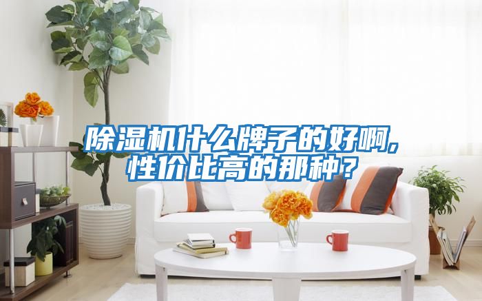 除濕機什么牌子的好啊,性價比高的那種？
