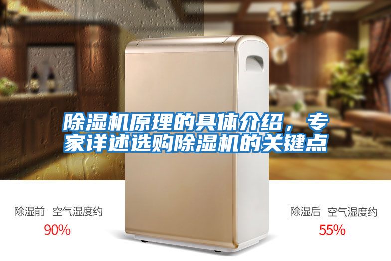 除濕機原理的具體介紹，專家詳述選購除濕機的關鍵點