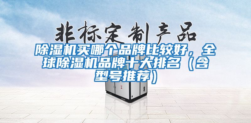 除濕機買哪個品牌比較好，全球除濕機品牌十大排名（含型號推薦）