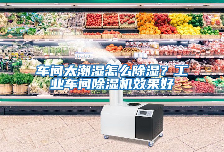 車間太潮濕怎么除濕？工業車間除濕機效果好