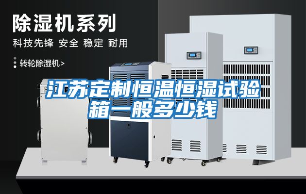 江蘇定制恒溫恒濕試驗(yàn)箱一般多少錢(qián)