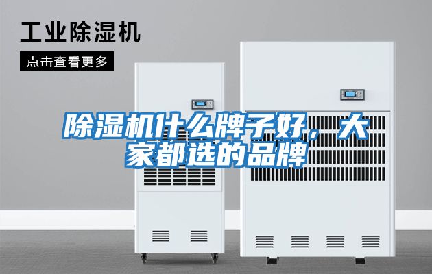 除濕機(jī)什么牌子好，大家都選的品牌