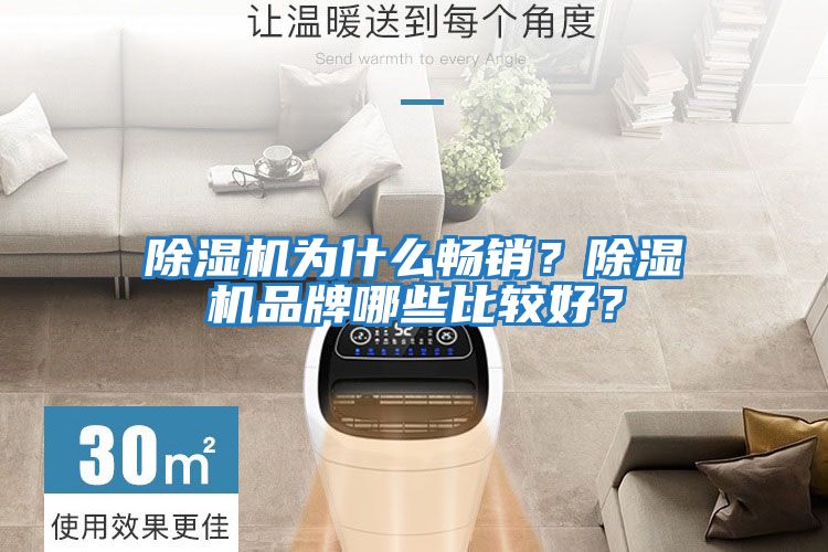 除濕機為什么暢銷？除濕機品牌哪些比較好？