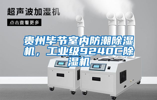 貴州畢節(jié)室內(nèi)防潮除濕機(jī)，工業(yè)級9240C除濕機(jī)