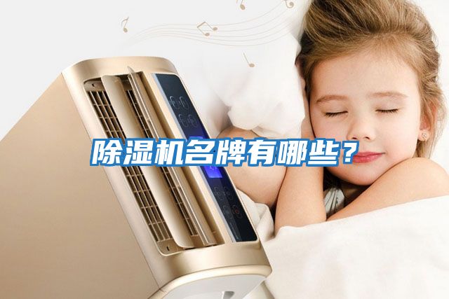 除濕機(jī)名牌有哪些？