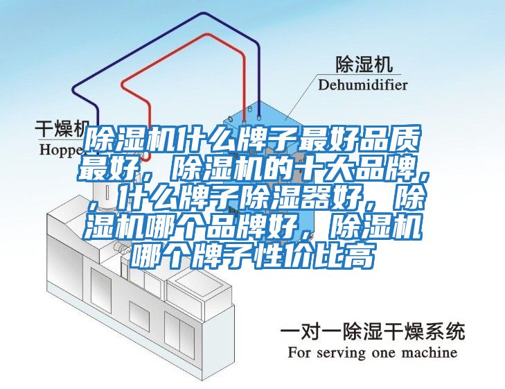除濕機(jī)什么牌子最好品質(zhì)最好，除濕機(jī)的十大品牌，，什么牌子除濕器好，除濕機(jī)哪個(gè)品牌好，除濕機(jī)哪個(gè)牌子性價(jià)比高