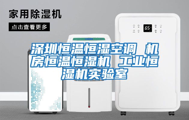 深圳恒溫恒濕空調 機房恒溫恒濕機 工業(yè)恒濕機實驗室