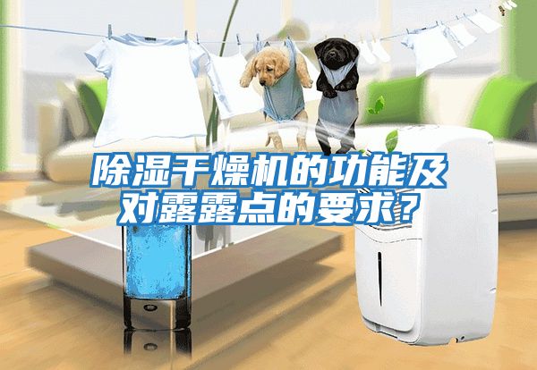 除濕干燥機的功能及對露露點的要求？