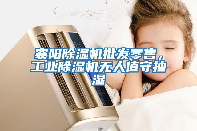 襄陽除濕機批發(fā)零售，工業(yè)除濕機無人值守抽濕