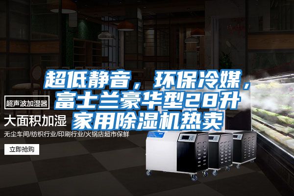 超低靜音，環(huán)保冷媒，富士蘭豪華型28升家用除濕機熱賣
