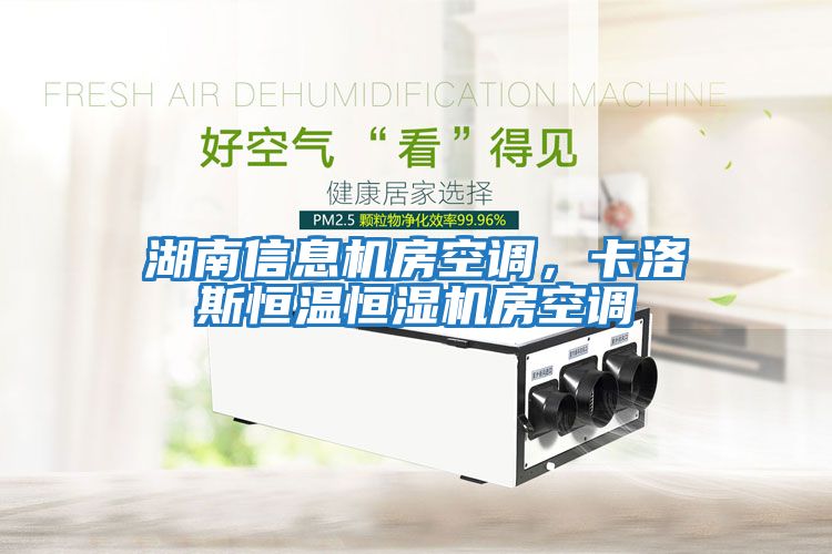 湖南信息機房空調，卡洛斯恒溫恒濕機房空調