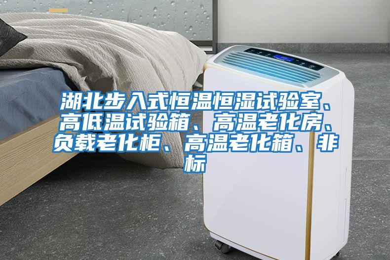 湖北步入式恒溫恒濕試驗室、高低溫試驗箱、高溫老化房、負載老化柜、高溫老化箱、非標