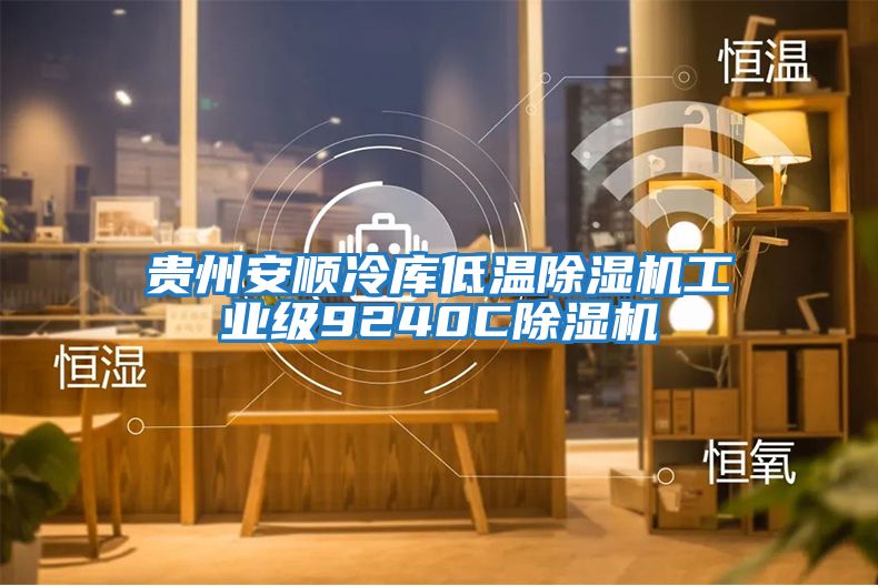 貴州安順冷庫低溫除濕機(jī)工業(yè)級9240C除濕機(jī)