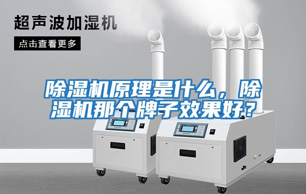 除濕機原理是什么，除濕機那個牌子效果好？