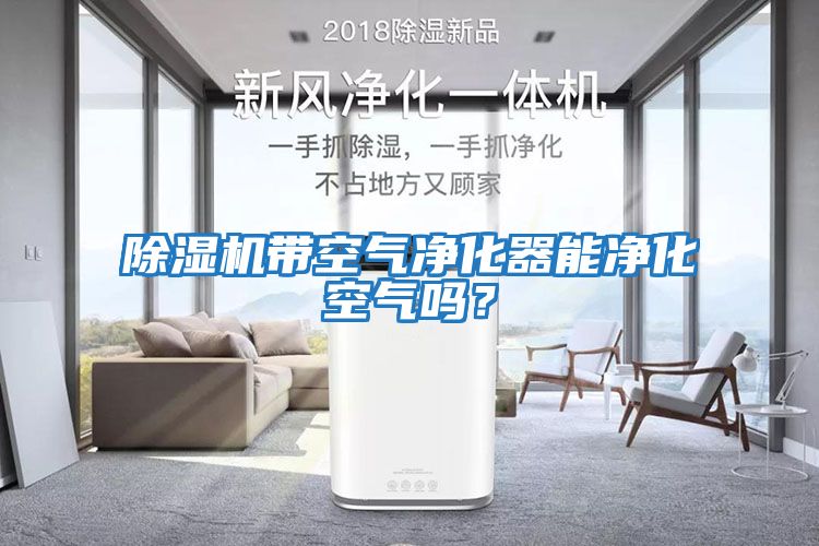 除濕機帶空氣凈化器能凈化空氣嗎？